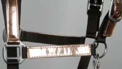 Licol Metallic - Harry's Horse Licols Et Longes