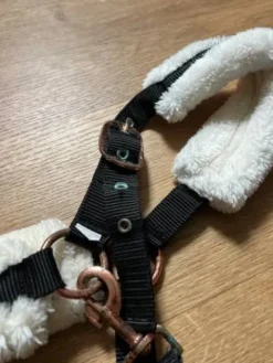 Outlet Licol Moumoute Licols Et Longes