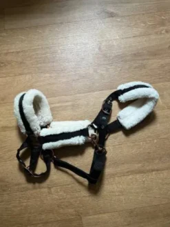 Outlet Licol Moumoute Licols Et Longes