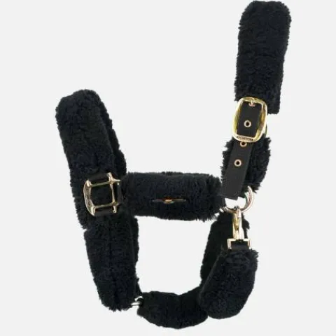Discount Licol moumoute Kentucky Licols Et Longes