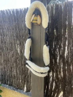 Best Licol mouton Licols Et Longes