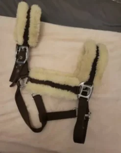 Sale Licol mouton Licols Et Longes