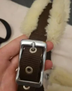 Sale Licol mouton Licols Et Longes