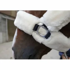 Outlet Licol mouton Equi-Thème Teddy Ecru et noir Licols Et Longes