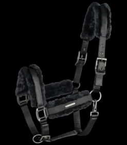 New Licol mouton Paris Licols Et Longes