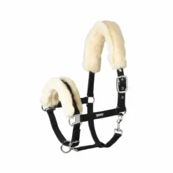 Hot Licol mouton pin buckle Basics - Licols Et Longes