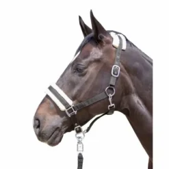 New Licol mouton teddy - - Confort optimal Licols Et Longes