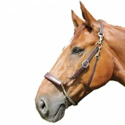 Online Licol multifonction Equilicol - Licols Et Longes