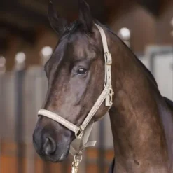 Online Licol Nena - Licols Et Longes