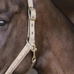 Online Licol Nena - Licols Et Longes