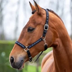 Online Licol Nena - Licols Et Longes