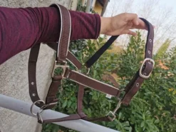 Sale Licol neuf Licols Et Longes