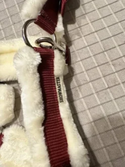 Clearance Licol neuf Licols Et Longes