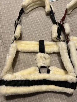 Clearance Licol neuf Licols Et Longes