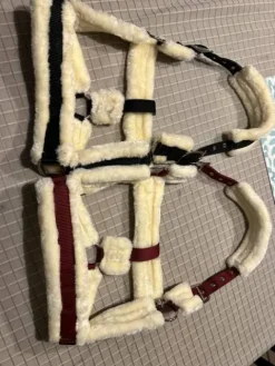 Clearance Licol neuf Licols Et Longes