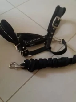 Outlet Licol noir a strass Licols Et Longes