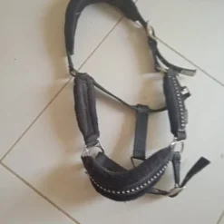 Outlet Licol noir a strass Licols Et Longes