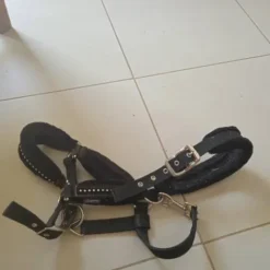 Outlet Licol noir a strass Licols Et Longes