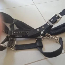 Outlet Licol noir a strass Licols Et Longes