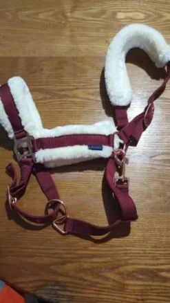 Hot Licol Licols Et Longes