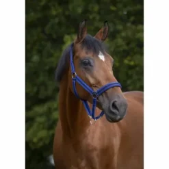 Online Licol - Doublé néoprène Licols Et Longes