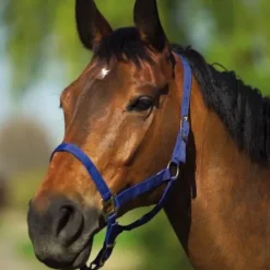 New Licol nylon - Licols Et Longes