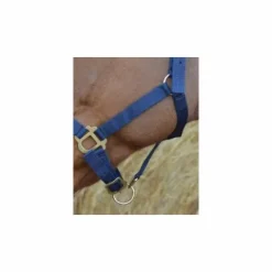 Sale Licol nylon - - Confort réglable Licols Et Longes