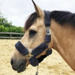 Best Licol nylon Douceur complet fourrure synthétique - Licols Et Longes