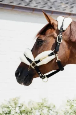 Online Licol nylon mouton Soft - Kentucky Licols Et Longes