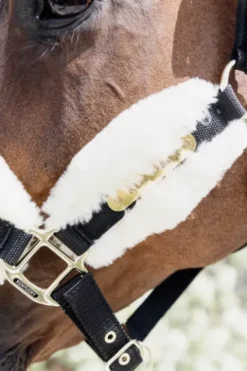 Online Licol nylon mouton Soft - Kentucky Licols Et Longes