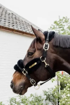 Online Licol nylon mouton Soft - Kentucky Licols Et Longes