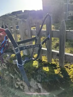 Sale Licol PADD Licols Et Longes