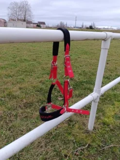 Discount Licol passional Licols Et Longes