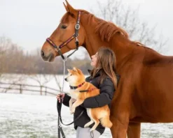 Discount Licol Polo Licols Et Longes