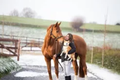 Discount Licol Polo Licols Et Longes