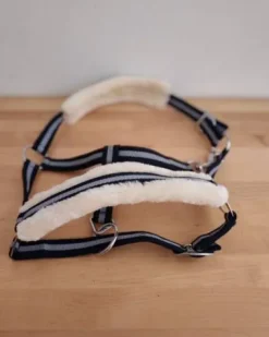 Licol poney bleu et blanc cassé avec mouton Licols Et Longes