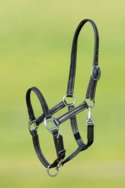 Discount Licol poulain cuir souple - - doublé et surpiqué Licols Et Longes