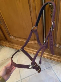 New Licol Équithème Licols Et Longes