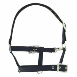 Licol respirant pour poulain ou mini Licols Et Longes