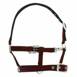 Licol respirant pour poulain ou mini Licols Et Longes