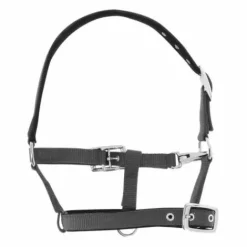 Licol respirant pour poulain ou mini Licols Et Longes