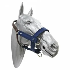 Discount Licol robuste pour le débourrage des poulains Licols Et Longes