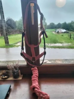 Licol rose Licols Et Longes