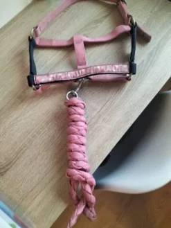 Licol rose Licols Et Longes