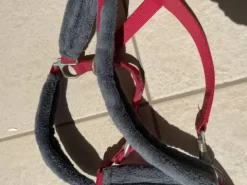 Discount Licol rouge avec moumoute grise Licols Et Longes