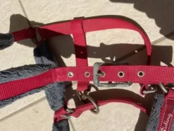 Discount Licol rouge avec moumoute grise Licols Et Longes