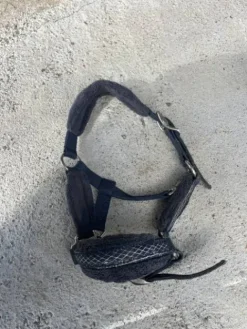 Hot Licol shetland Licols Et Longes