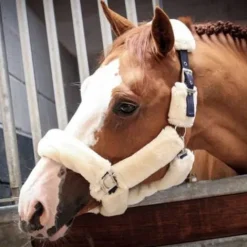 Online Licol Soft One - Crème Licols Et Longes