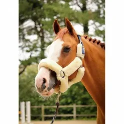 Online Licol Soft One - Crème Licols Et Longes