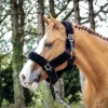 Outlet Licol Soft One - Noir - Jump'in Licols Et Longes